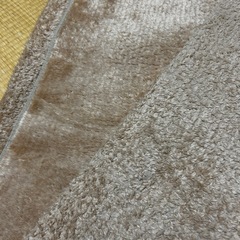 ニトリ　Nウォーム　カーペット　ラグの画像