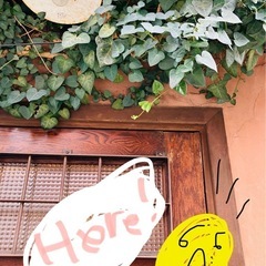 2026年カットモデル募集◎ボブ限定