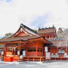 婚活アプリで疲れた方へ｜富士宮の“実物が分かる”結婚・再婚サポート