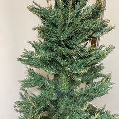 185cm 中城産業 クリスマスツリー　アルムスレンダーの画像