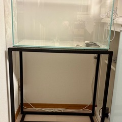 アクアリウム　水槽セットの画像