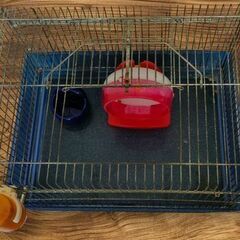 小動物用ケージセット 青①の画像