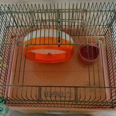 小動物用ケージセット 赤②の画像