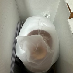 ARTISTRY フェイススチーマー 値段の交渉も可能です！！の画像