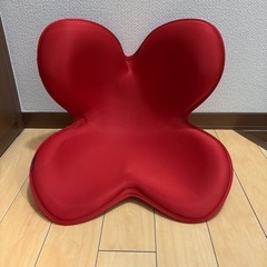 MGT Style Standard ボディメイクシート　レッドの画像