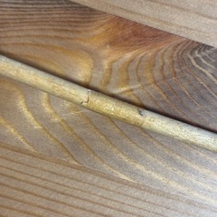 アウリス　グロッケン　鉄琴の画像