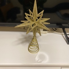 トップスター　ベツレヘム　Lの画像