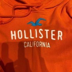 ホリスター　パーカーの画像