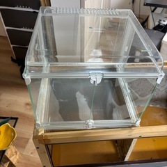 グラスハーモニーマルチ300の画像