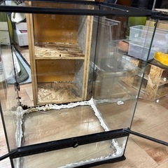 グラテラ4560の画像