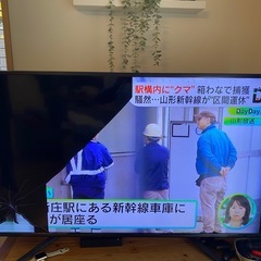 液晶テレビ 50インチ 液晶割れの画像
