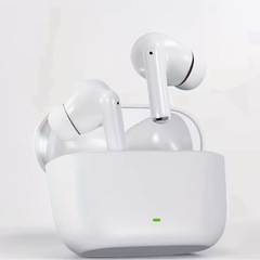 WoSD 2025 新型 イヤホン
の画像