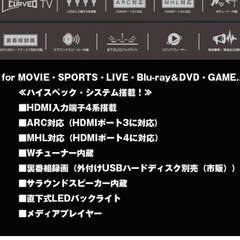 【お譲り予定者決定】48インチ曲面液晶テレビ　レボリューション　条件次第で無料の画像