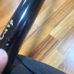 沖縄スペシャル10号ベイトモデルの画像