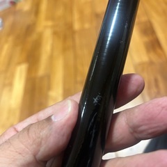 沖縄スペシャル10号ベイトモデルの画像