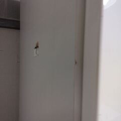 鏡面仕上げ　本棚　シェルフ　扉付き　コレクションケースの画像