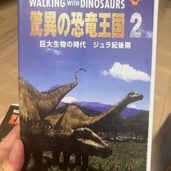 恐竜のビデオ７本セットの画像