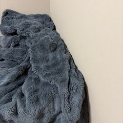 NERUS ふわとろ毛布の画像