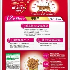 ビューティープロ 子猫用カリカリご飯の画像