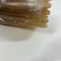 スイス 角笛 民族楽器 水牛の角 インテリア 長さ42cm の画像