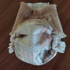 ペット用おむつパンツタイプSサイズ・16枚の画像