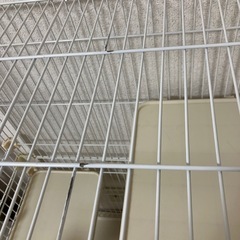 キャットゲージ３段
の画像