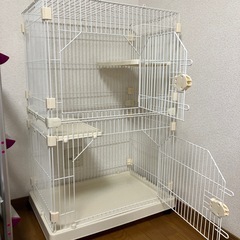 キャットゲージ３段
の画像