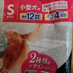 ペット用マナーウエア男の子用Sサイズ・13枚の画像