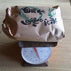 令和7年産　新潟コシヒカリ　新米　白米5ｋｇ　自家消費用の画像