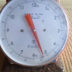 令和7年産　新潟コシヒカリ　新米　白米5ｋｇ　自家消費用の画像