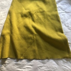 お話し中：丈長めスカートの画像