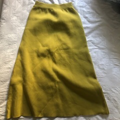 お話し中：丈長めスカートの画像