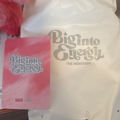 正規品新品未使用美品ラブブ　の画像