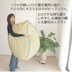 ビーズクッション　大きいの画像