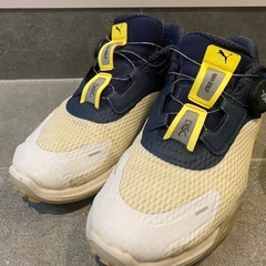 ゴルフ シューズ 25.5cm 2足セットの画像