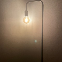 フロアライトの画像