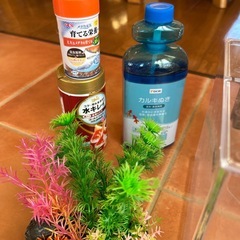 メダカ．金魚水槽セットの画像