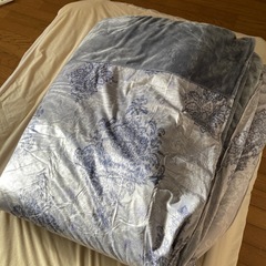 掛け敷き布団セット　セミダブル　ニトリ　カバー付きの画像