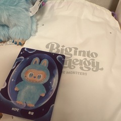 正規品新品未使用美品ラブブの画像