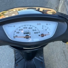 今日限定dio af34の画像