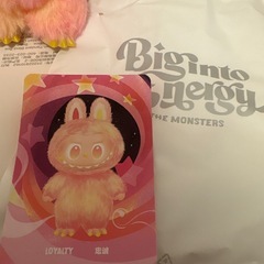 正規品新品未使用美品ラブブの画像