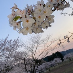 夢を語り合う仲間募集