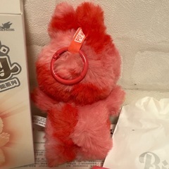 正規品新品未使用美品ラブブの画像