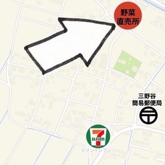 朝採り野菜12/6の画像