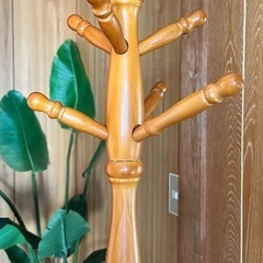 ドレスハンガーの画像