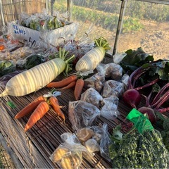 土日祝のみ無人の農産物直売所