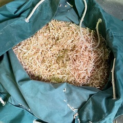 おが屑（小動物用に欲しい方のみ)の画像
