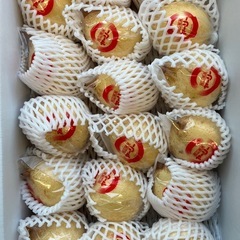 岡山県鴨梨1箱の画像