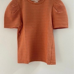 レディース　半袖　Tシャツの画像