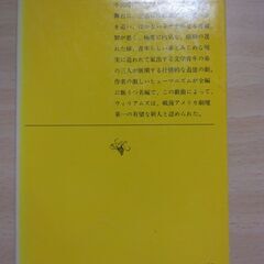 『ガラスの動物園』Ｔ・ウィリアムズ　新潮文庫の画像